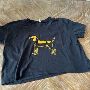 Smokey Crop Top university of Tennessee